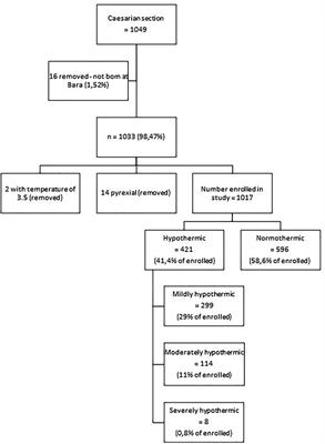 Hypothermia in neonates born by caesarean section at a tertiary hospital in South Africa